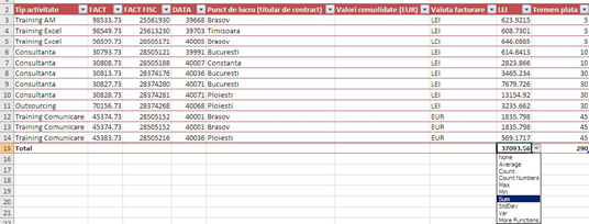 Optiuni de sinteza tabel -Excel 2013